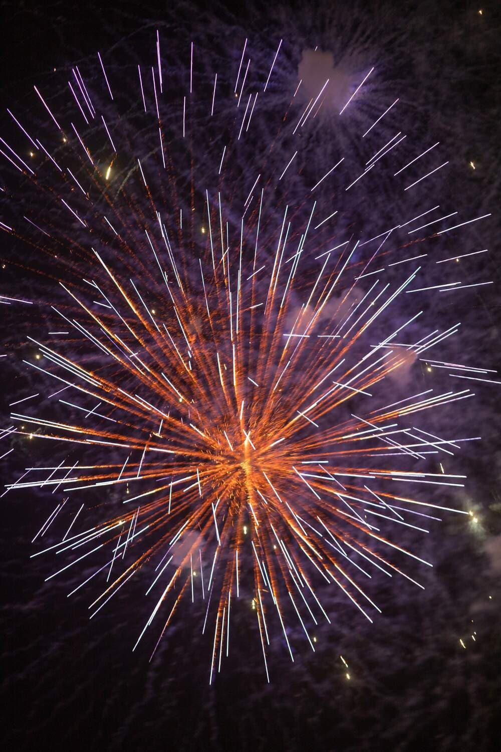 Fireworks over the masts of the Alamitos Bay marina at dusk