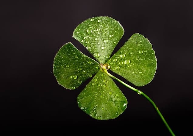 Saint Patrick’s Day Weekend at Boathouse on the Bay